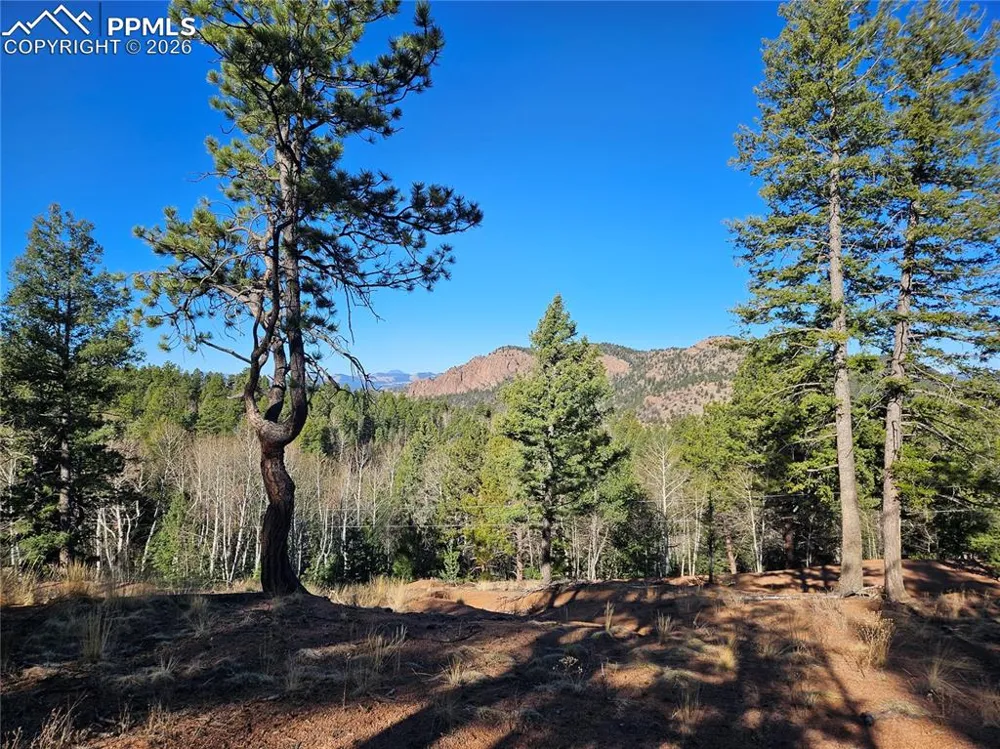652 Derby Drive Cripple Creek, CO 80813