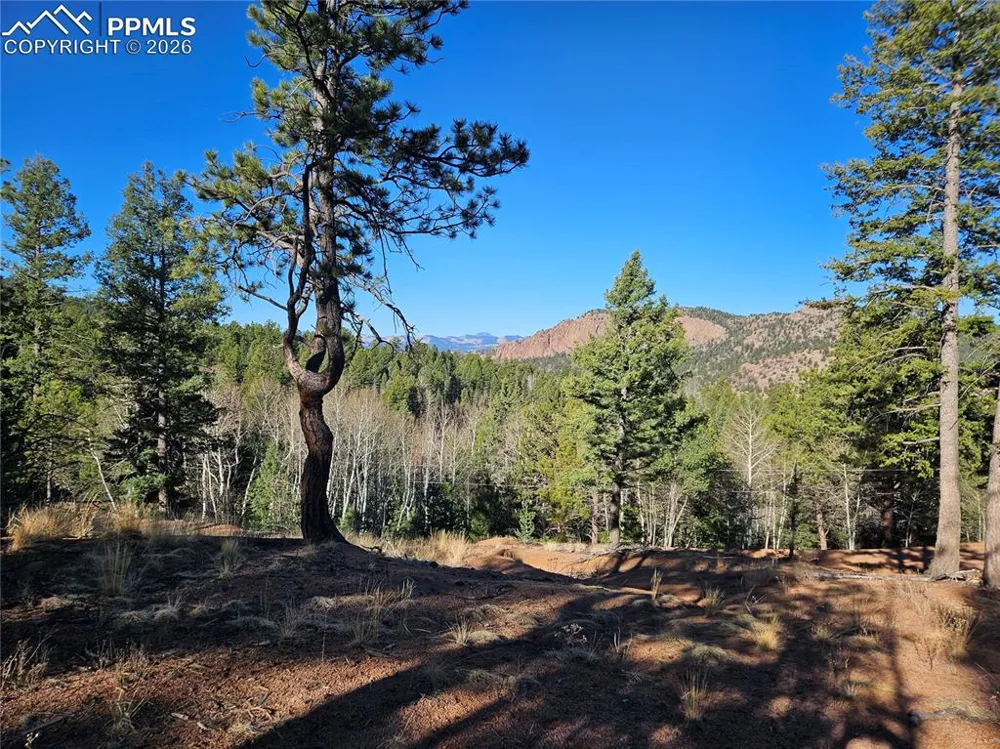 652 Derby Drive Cripple Creek, CO 80813