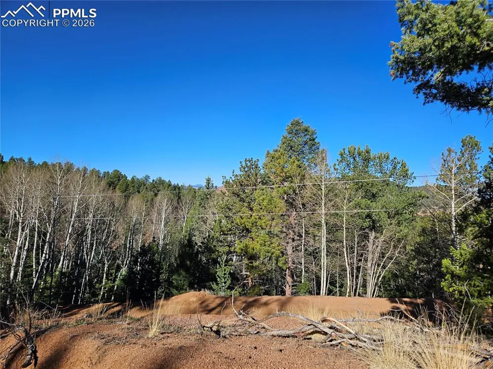 652 Derby Drive Cripple Creek, CO 80813