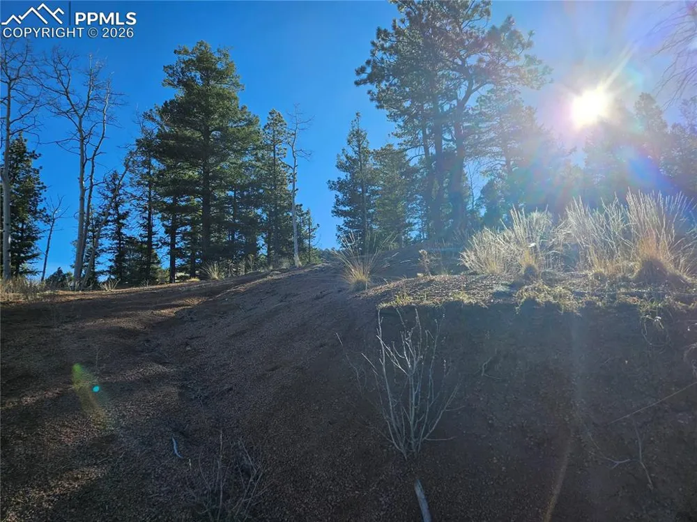 652 Derby Drive Cripple Creek, CO 80813