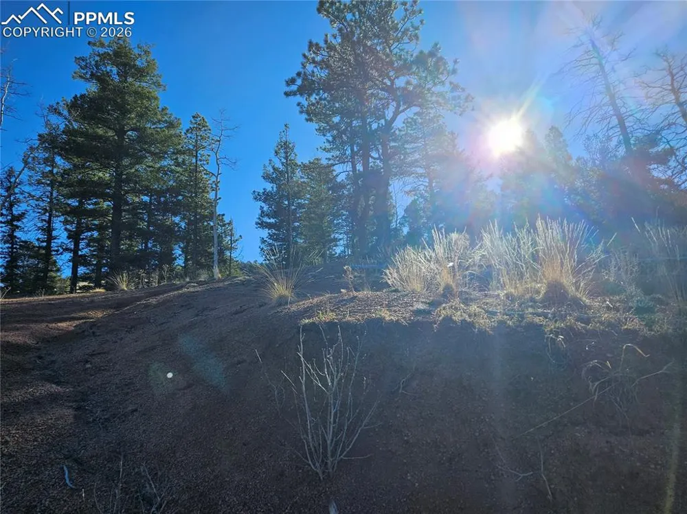652 Derby Drive Cripple Creek, CO 80813