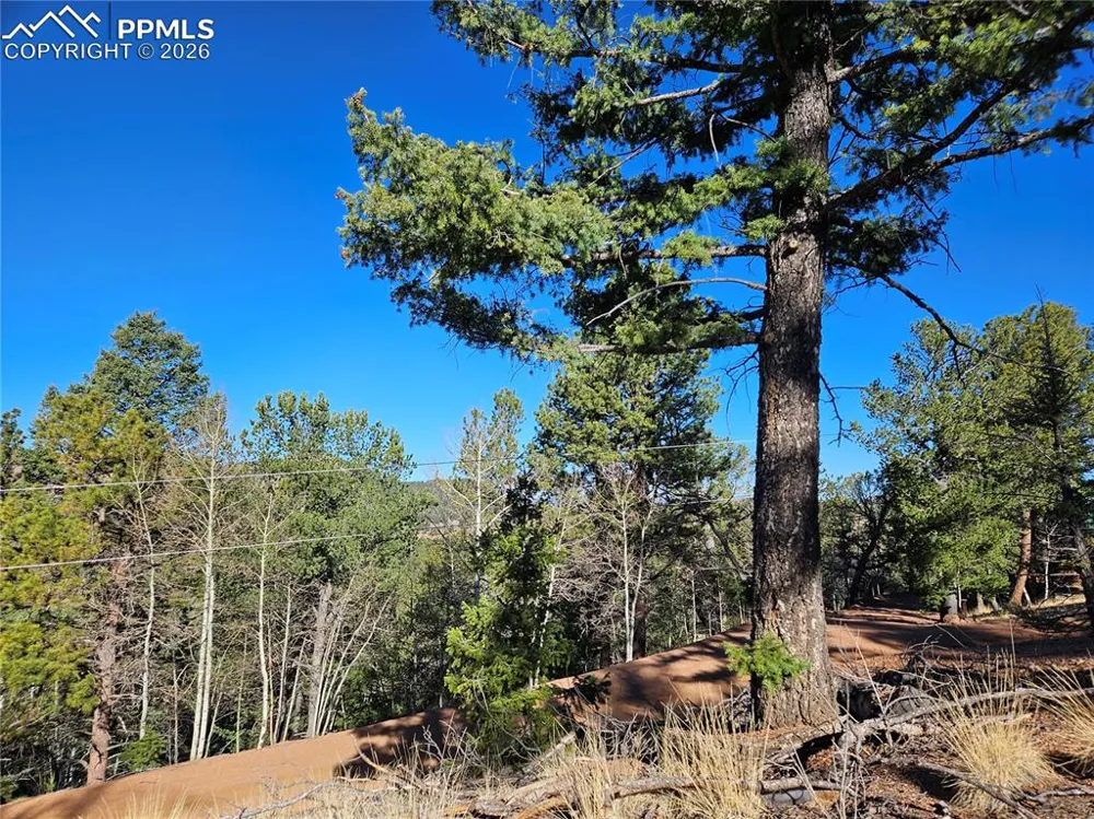 652 Derby Drive Cripple Creek, CO 80813