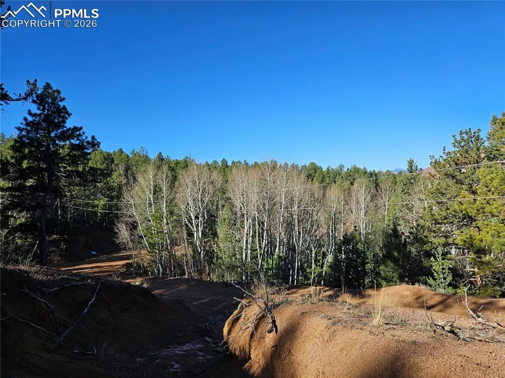 652 Derby Drive Cripple Creek, CO 80813