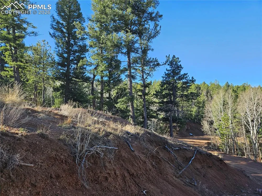 652 Derby Drive Cripple Creek, CO 80813