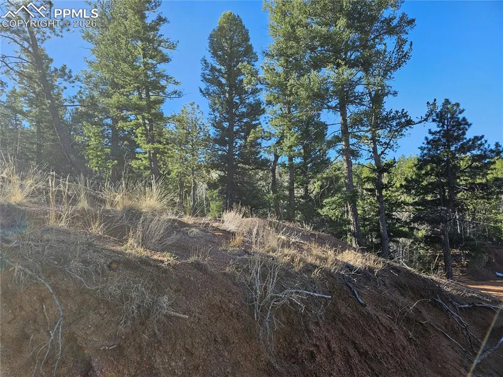 652 Derby Drive Cripple Creek, CO 80813
