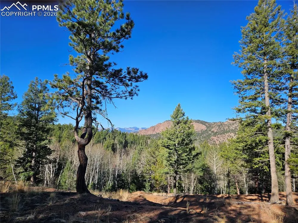 652 Derby Drive Cripple Creek, CO 80813