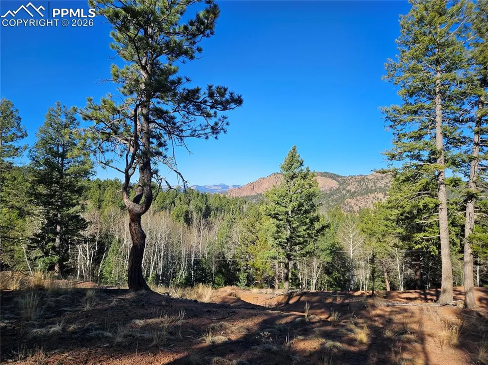 652 Derby Drive Cripple Creek, CO 80813