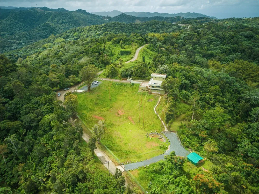RD15 KM20.6 BO. QUEBRADA ARRIBA Cayey, PR 00736