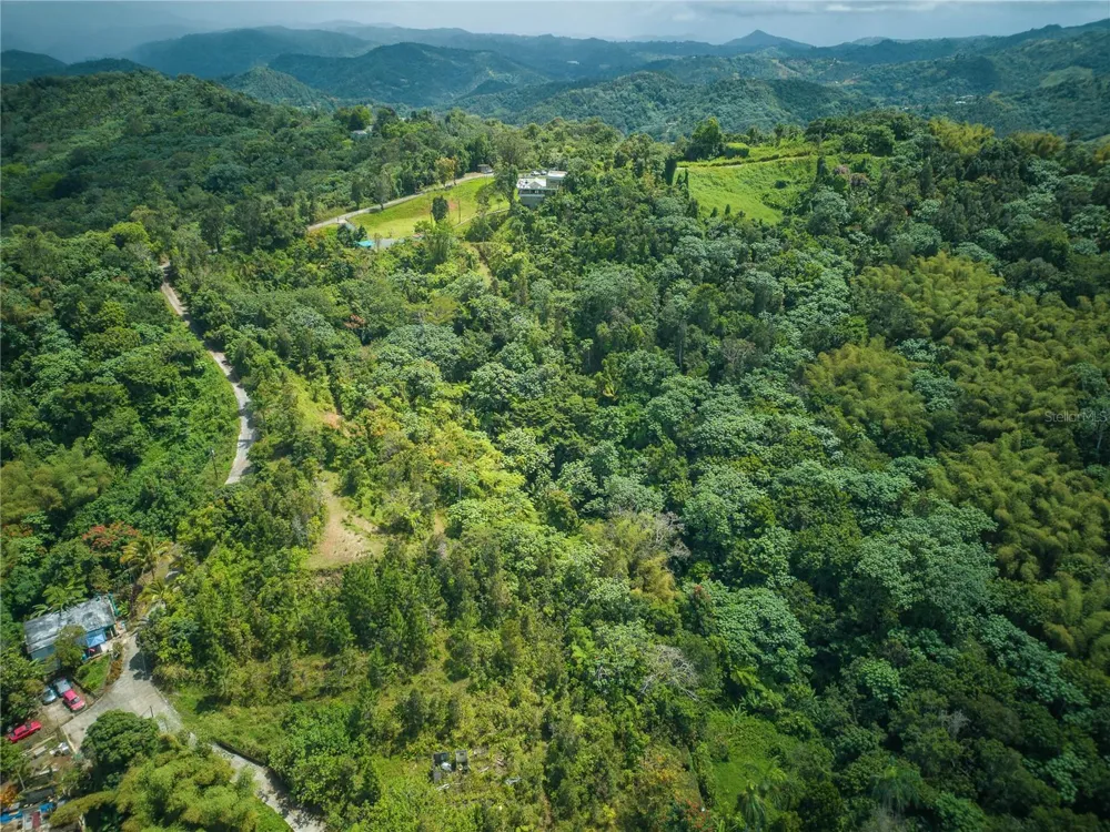 RD15 KM20.6 BO. QUEBRADA ARRIBA Cayey, PR 00736