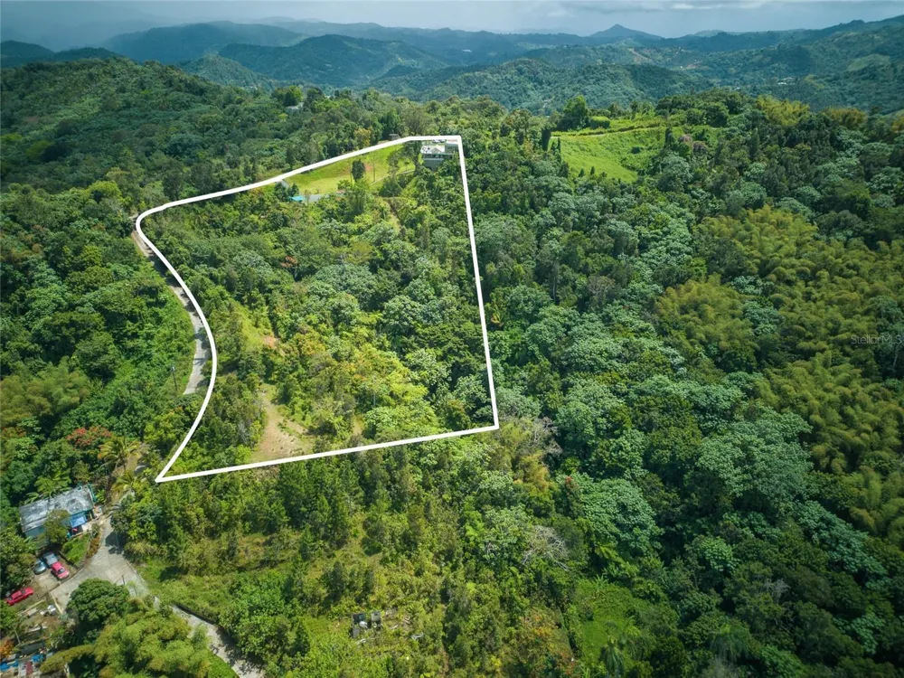 RD15 KM20.6 BO. QUEBRADA ARRIBA Cayey, PR 00736