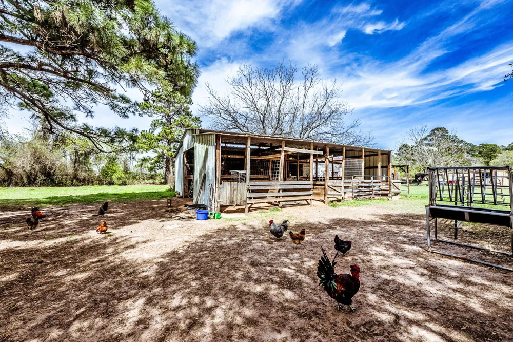 25790 Lakeside Drive Hockley, TX 77447