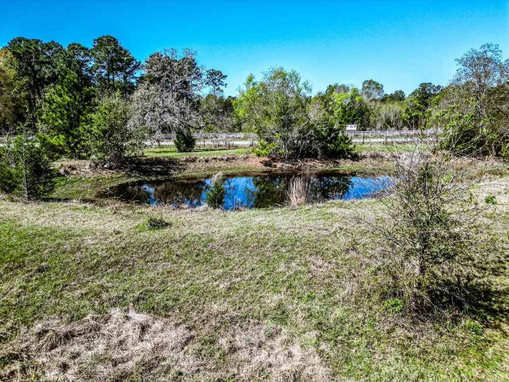 25790 Lakeside Drive Hockley, TX 77447
