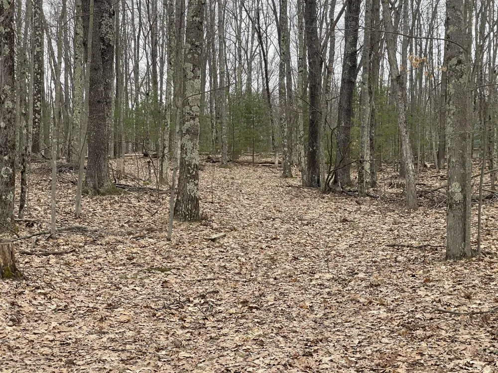 W Deer Track Trail #Parcel A-4 Irons, MI 49644