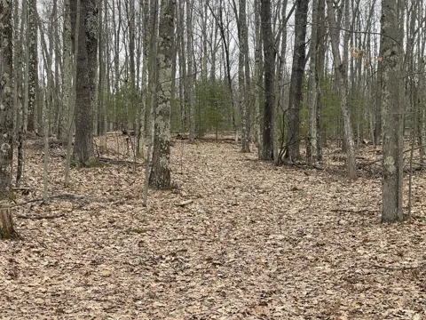 W Deer Track Trail #Parcel A-4