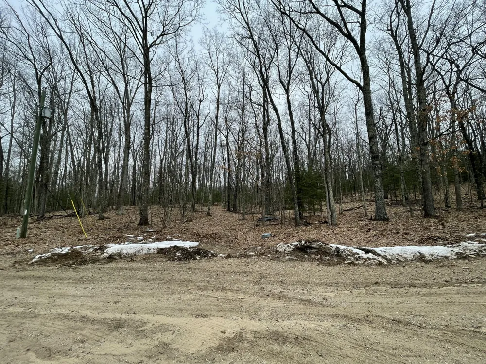 W Deer Track Trail #Parcel A-4 Irons, MI 49644