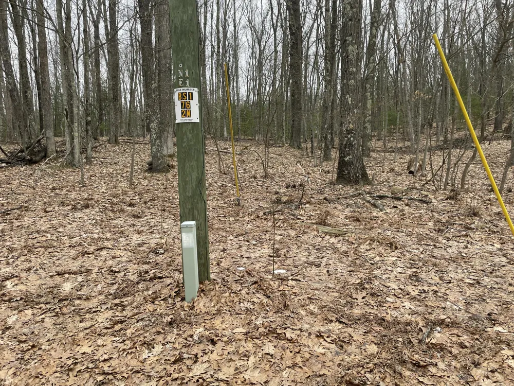 W Deer Track Trail #Parcel A-4 Irons, MI 49644