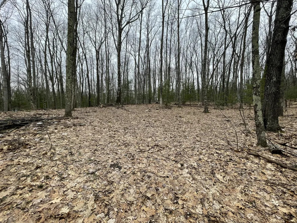 W Deer Track Trail #Parcel A-4 Irons, MI 49644