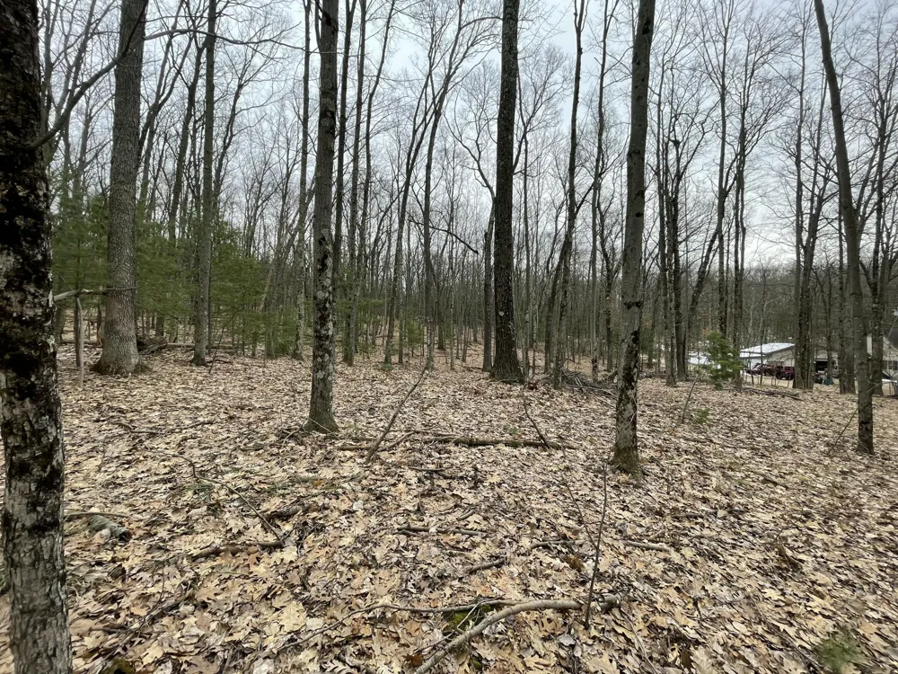 W Deer Track Trail #Parcel A-4 Irons, MI 49644