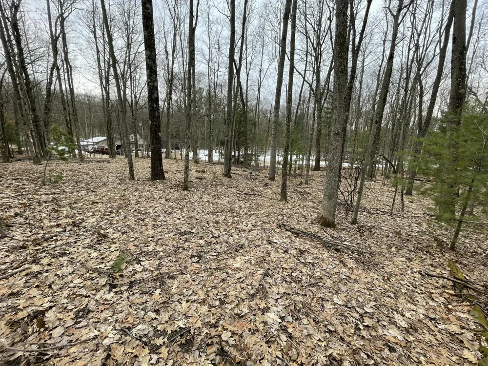 W Deer Track Trail #Parcel A-4 Irons, MI 49644