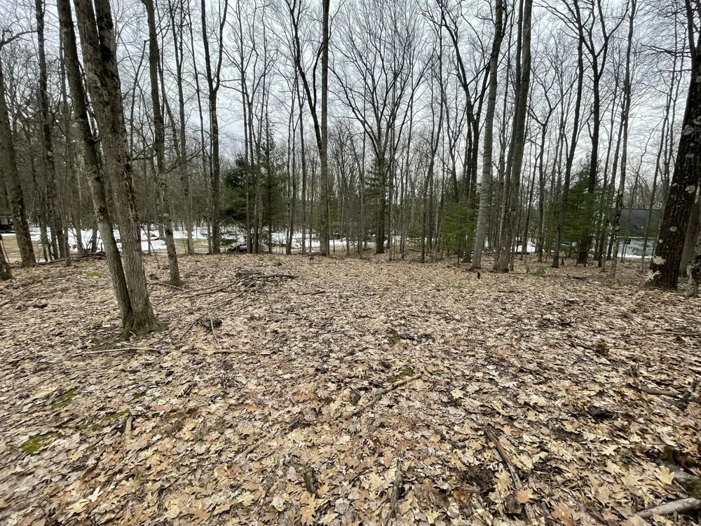 W Deer Track Trail #Parcel A-4 Irons, MI 49644
