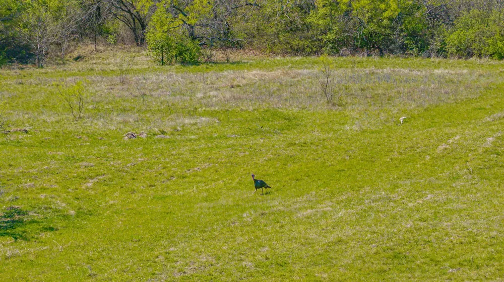 2474 County Road 371 Dublin, TX 76446