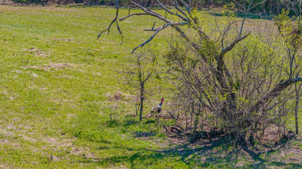 2474 County Road 371 Dublin, TX 76446