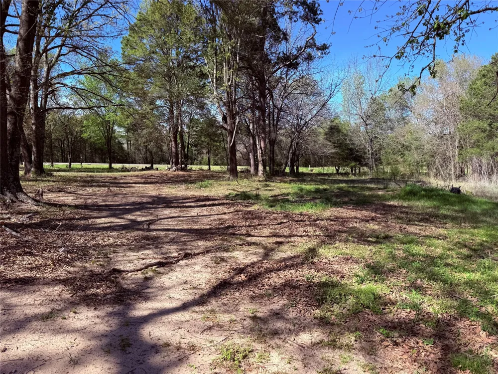 3842 State Highway 37 Quitman, TX 75783