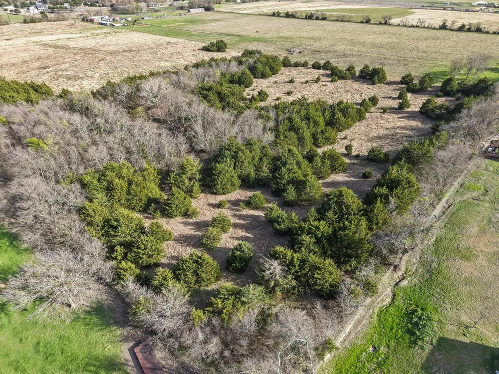 9421 County Road 626 Blue Ridge, TX 75424