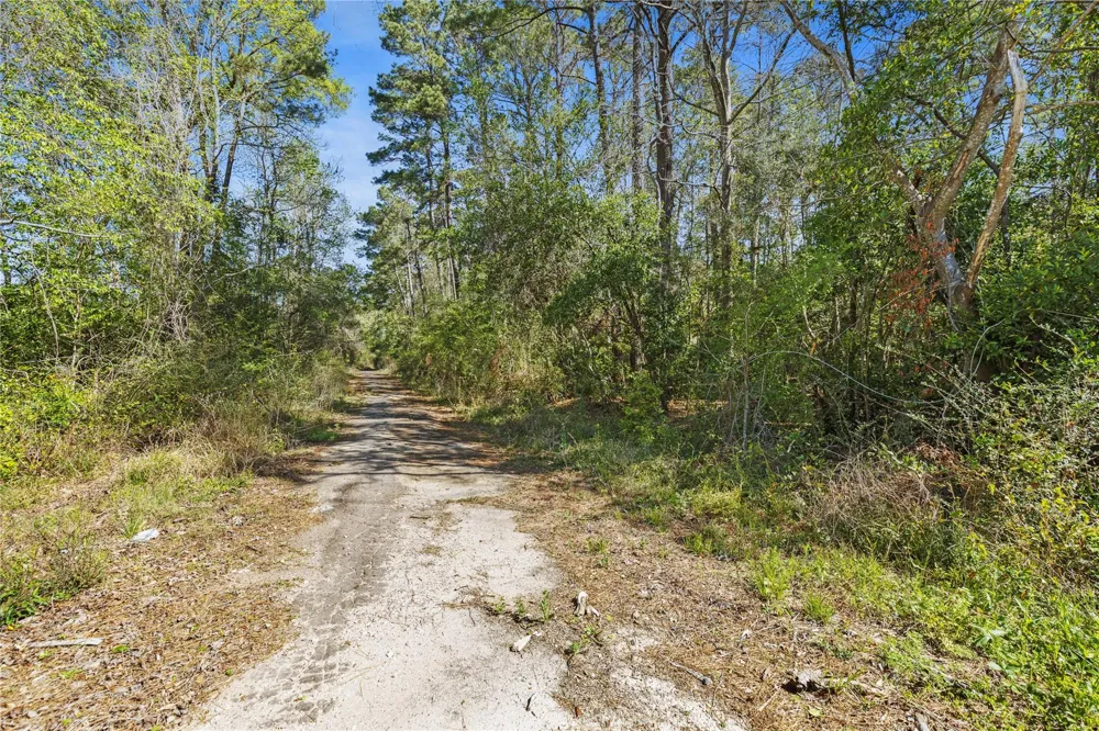 Lilac Lane New Caney, TX 77357