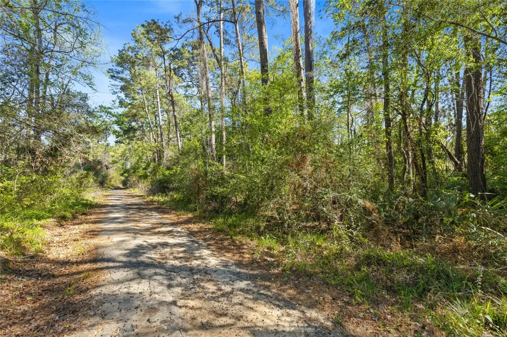 Lilac Lane New Caney, TX 77357