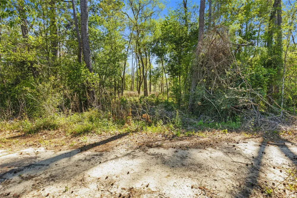 Lilac Lane New Caney, TX 77357