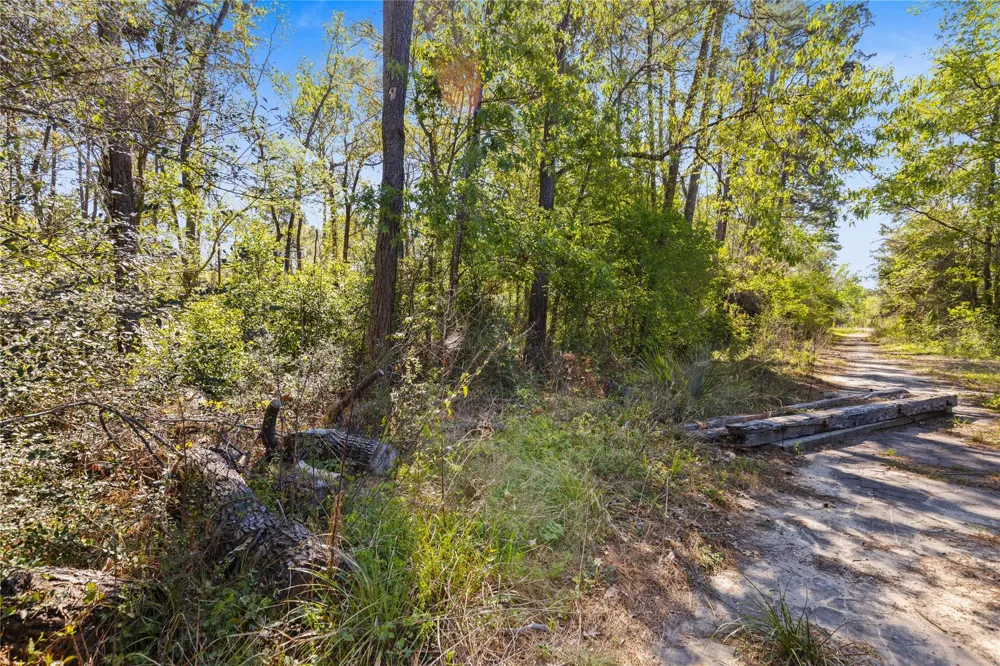 Lilac Lane New Caney, TX 77357