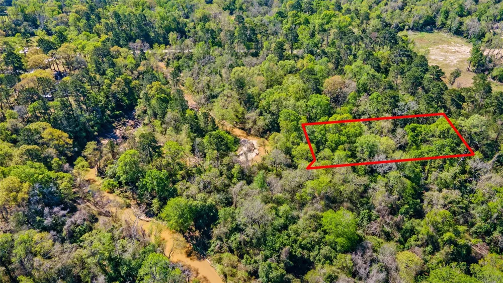 Lilac Lane New Caney, TX 77357