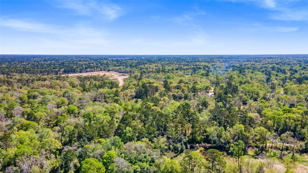 Lilac Lane New Caney, TX 77357