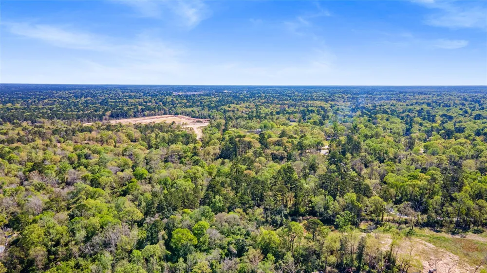 Lilac Lane New Caney, TX 77357