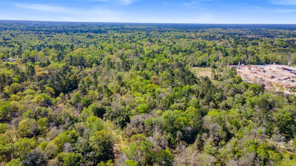 Lilac Lane New Caney, TX 77357