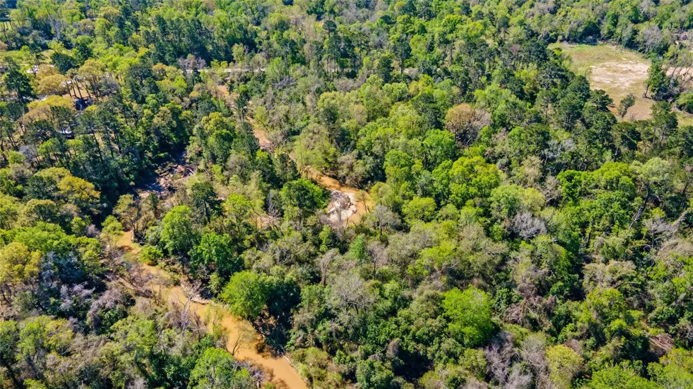 Lilac Lane New Caney, TX 77357