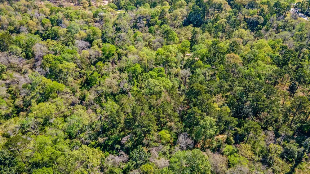 Lilac Lane New Caney, TX 77357