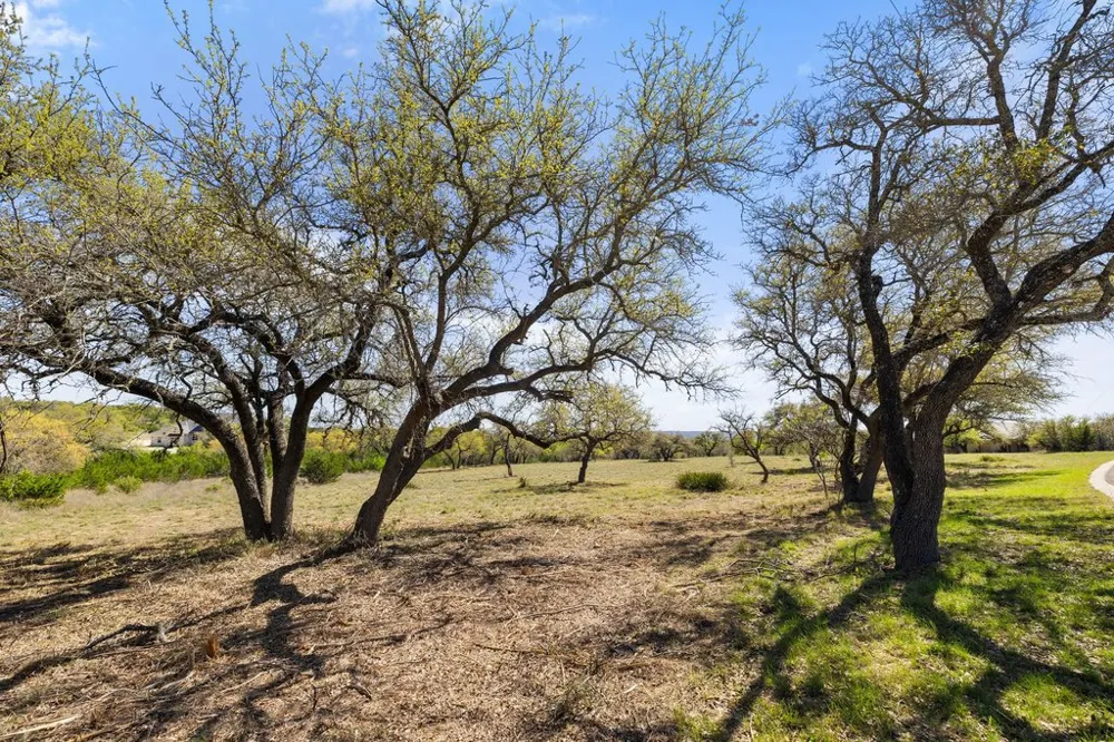 19 Stone Ridge Mountain Drive Round Mountain, TX 78663
