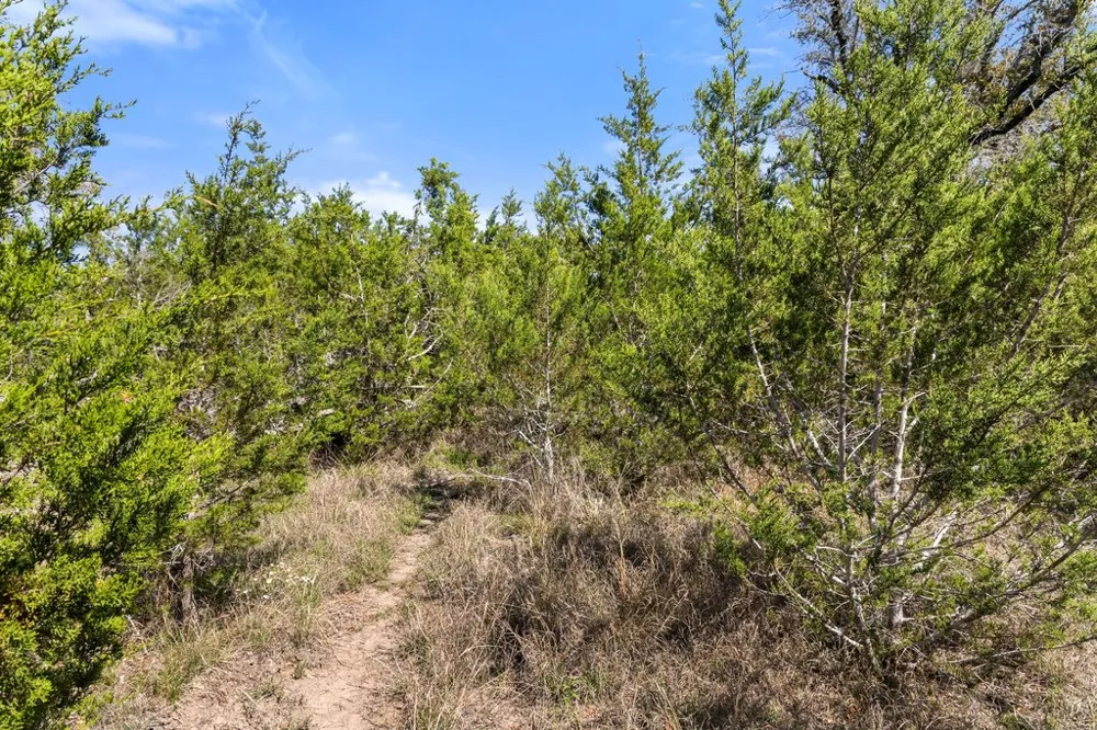 19 Stone Ridge Mountain Drive Round Mountain, TX 78663