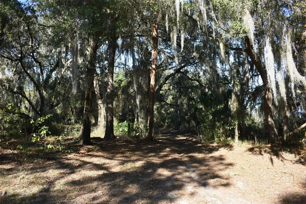 13800 COUNTY ROAD 450 Umatilla, FL 32784