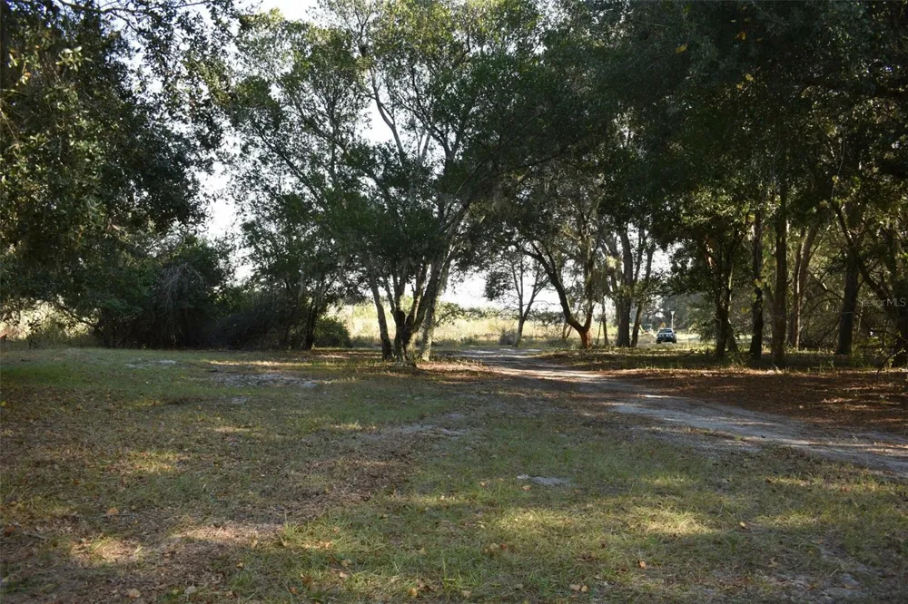 13800 COUNTY ROAD 450 Umatilla, FL 32784