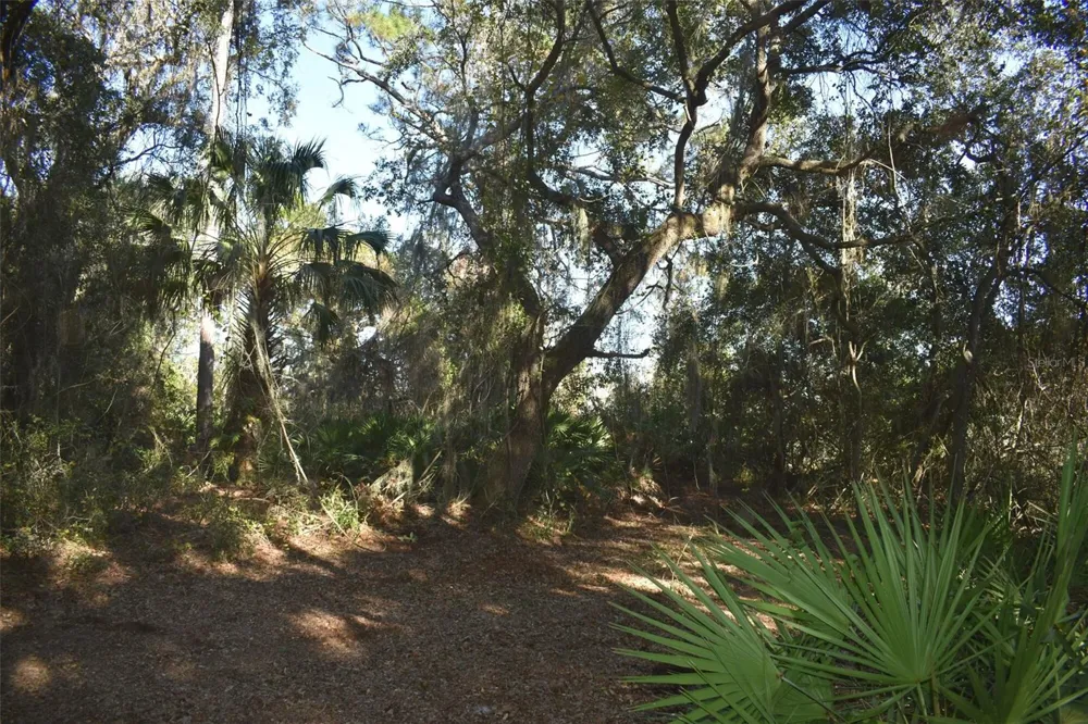 13800 COUNTY ROAD 450 Umatilla, FL 32784