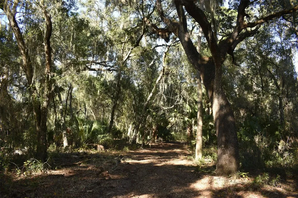 13800 COUNTY ROAD 450 Umatilla, FL 32784