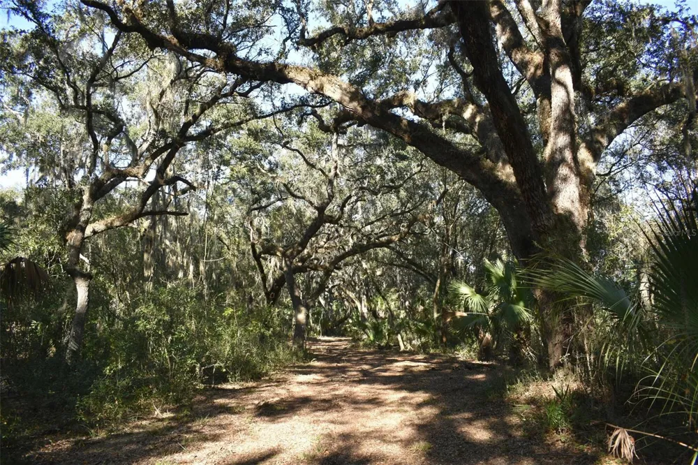 13800 COUNTY ROAD 450 Umatilla, FL 32784