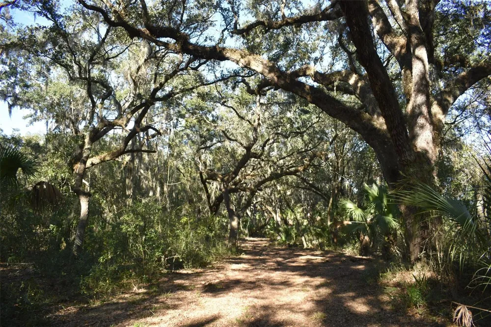 13800 COUNTY ROAD 450 Umatilla, FL 32784