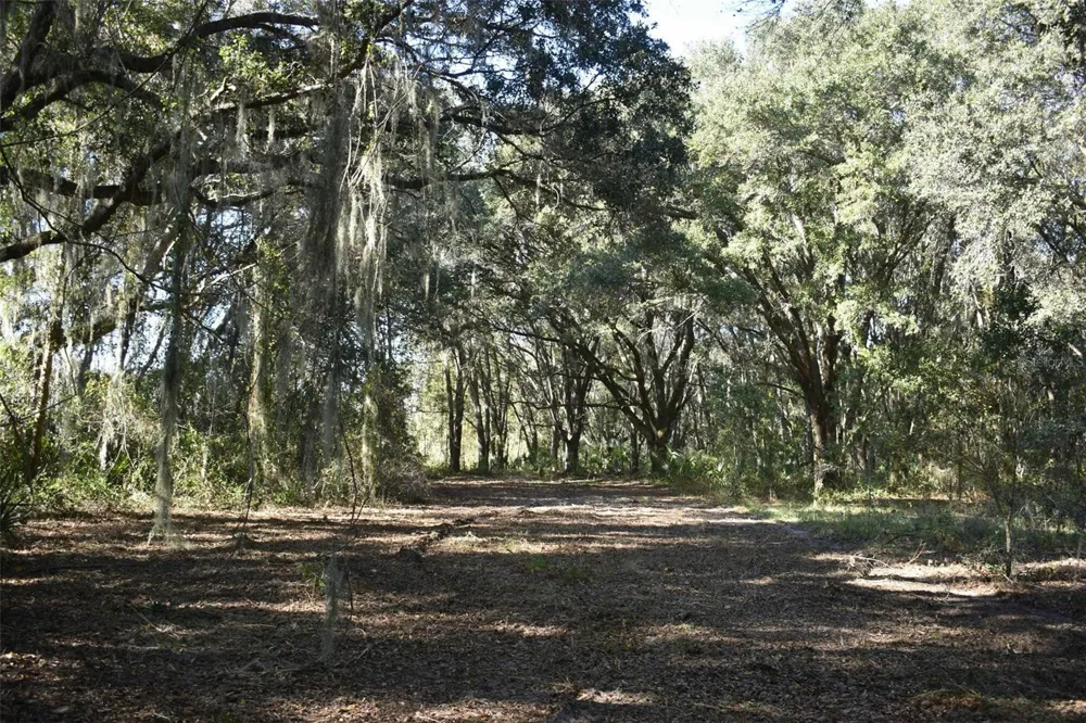 13800 COUNTY ROAD 450 Umatilla, FL 32784