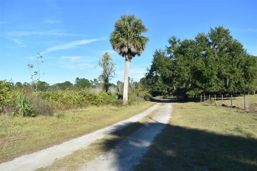 13800 COUNTY ROAD 450 Umatilla, FL 32784