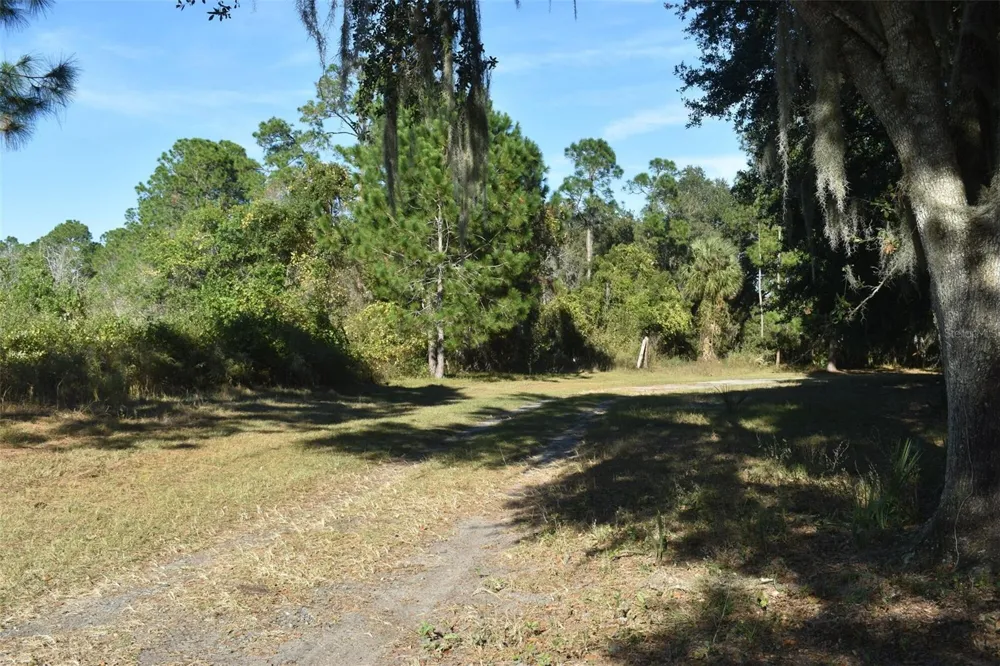 13800 COUNTY ROAD 450 Umatilla, FL 32784