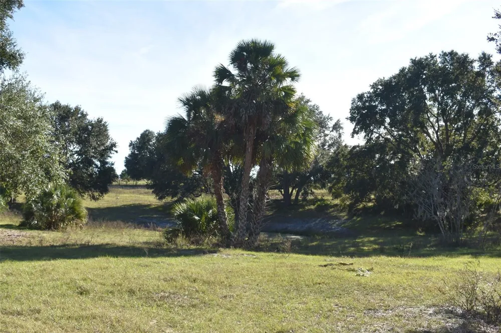 13800 COUNTY ROAD 450 Umatilla, FL 32784